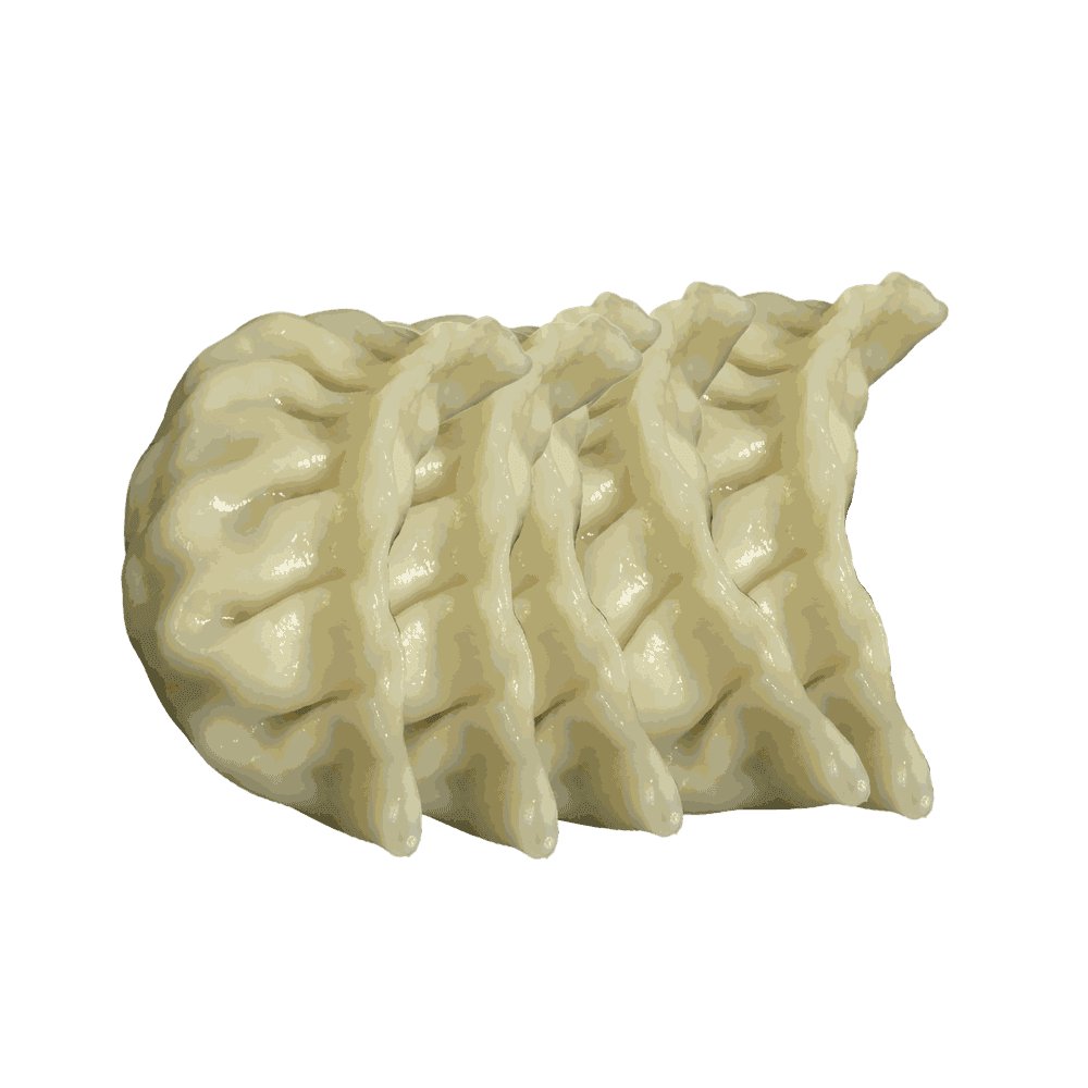 6a. Gyoza Yasai (Gemüse, 5 Stück)